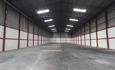 Bodega alquilo
