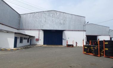 Bodega alquilo