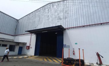 Bodega alquilo