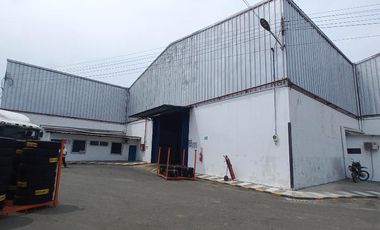 Bodega alquilo