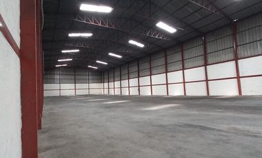 Bodega alquilo