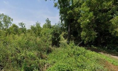 Land for sale, Khao Ngam Subdistrict, Wang Noi District, Ayutthaya