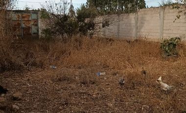 IRIMBO, MICHOCACAN VENDO  TERRENO 800 MT2
