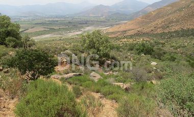 Catemu – Venta Terreno 22 ha Apto plantación paltos 7.950UF/MM$290