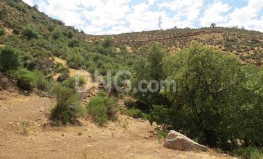 Catemu – Venta Terreno 22 ha Apto plantación paltos 7.950UF/MM$290