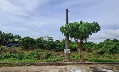 Resale Lot 355 sqm in Whitesand Subdivision in Maribago Lapulapu City