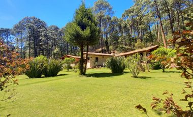 DOS CABAÑAS EN UN PRECIOSO TERRENO EN MAZAMITLA
