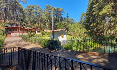 DOS CABAÑAS EN UN PRECIOSO TERRENO EN MAZAMITLA
