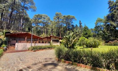 DOS CABAÑAS EN UN PRECIOSO TERRENO EN MAZAMITLA
