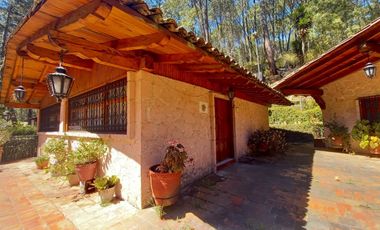 DOS CABAÑAS EN UN PRECIOSO TERRENO EN MAZAMITLA