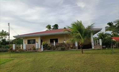 RONDA HOUSE AND LOT WITH 4 BEDROOMS AND 1 SEPARATE 1 BEDROOM HOUSE P11.9MN.