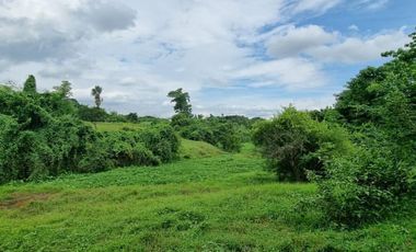 Sta. Maria, Bulacan | Agricultural Lot For Sale - #2736
