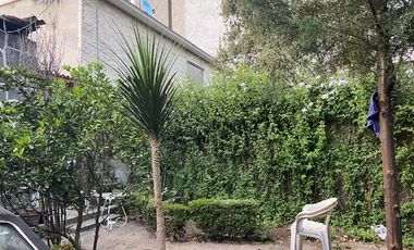 GRAN POTENCIAL EN TLALPAN  TORIELLO GUERRA