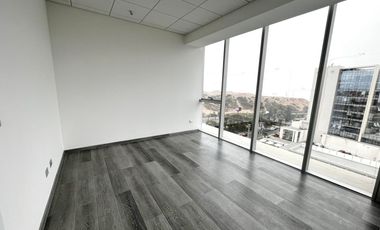 Estupenda Oficina, Bosque de Montemar