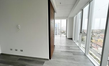 Estupenda Oficina, Bosque de Montemar