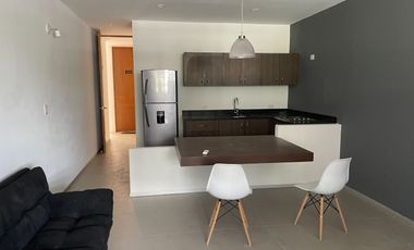 DEPARTAMENTO TIPO ESTUDIO AMUEBLADO Y EQUIPADO EN RENTA.