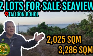 Seaview Lot for sale 2,025 and 3,286 sqm at 1,000/sqm Bagacay Talibon Bohol