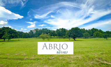 Abrio Nuvali for Sale, Phase 2 (972 sqm)