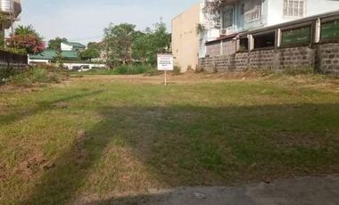 Bare Residential Inside Lot at United Paranaque Subdivision 2