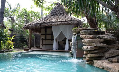 Stunning Freehold Investment in Gilli Meno