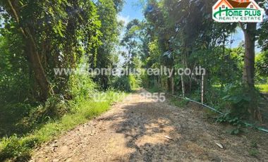 ที่ดินตำบลหนองหาร อำเภอสันทราย เชียงใหม่ (ใกล้ซอยเกษมใหม่4)