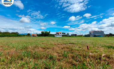 SE VENDE LOTE EN ACAMILLANO
