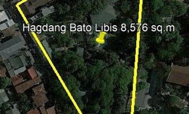 MANDALUYONG CITY COMMERCIAL RESIDENTIAL LOT @ 8,576 SQM
