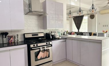 Tropical House and Lot for Sale in Villa De Mercedes Subdivison, Davao City