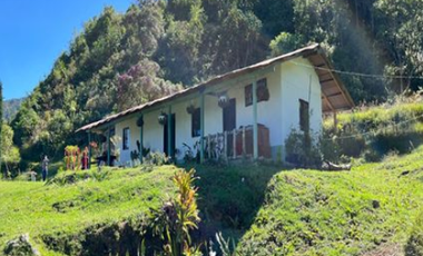 SE VENDE FINCA VEREDA LA MIEL CALDAS ANTIOQUIA