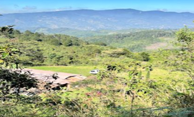 SE VENDE FINCA VEREDA LA MIEL CALDAS ANTIOQUIA