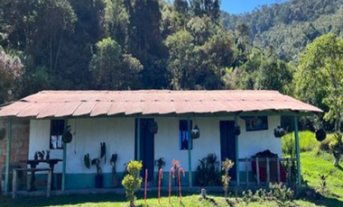 SE VENDE FINCA VEREDA LA MIEL CALDAS ANTIOQUIA