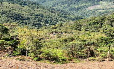 SE VENDE FINCA VEREDA LA MIEL CALDAS ANTIOQUIA
