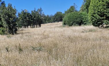 PARCELA, PARC. VIVE BOSQUE  PUERTO MONTT-PUERTO VARAS