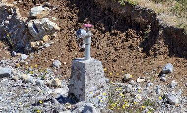 PARCELA, PARC. VIVE BOSQUE  PUERTO MONTT-PUERTO VARAS