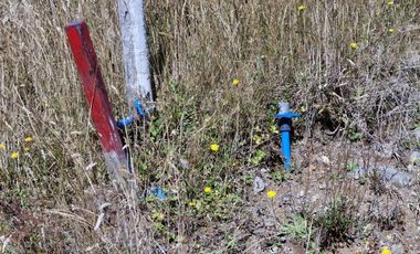 PARCELA, PARC. VIVE BOSQUE  PUERTO MONTT-PUERTO VARAS