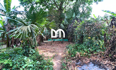 For Sale: Lot along San Jose Bypass Road, San Jose, Batangas