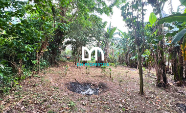 For Sale: Lot along San Jose Bypass Road, San Jose, Batangas