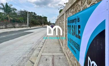 For Sale: Lot along San Jose Bypass Road, San Jose, Batangas