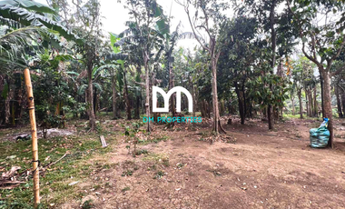 For Sale: Lot along San Jose Bypass Road, San Jose, Batangas