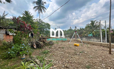 For Sale: Lot along San Jose Bypass Road, San Jose, Batangas