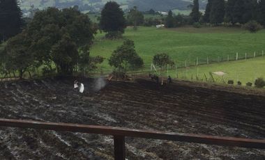 SE VENDE FINCA CON CASAS EN LA CALERA