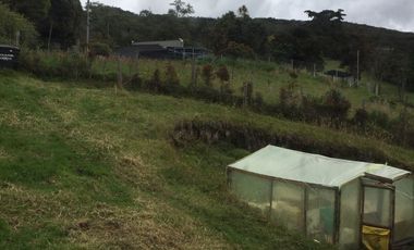 SE VENDE FINCA CON CASAS EN LA CALERA