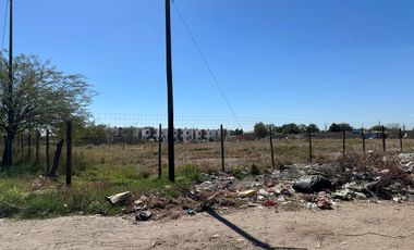 Terreno en Renta en Ampliacion Sahuaro 3913 m2. a 100 metros Ignacio Salazar