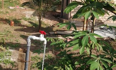 VIVE RODEADO DE LA NATURALEZA VENTA TERRENO EN TARAPOTO 1