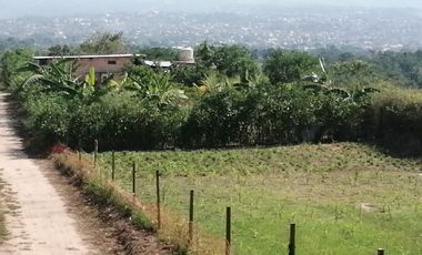 VIVE RODEADO DE LA NATURALEZA VENTA TERRENO EN TARAPOTO 1