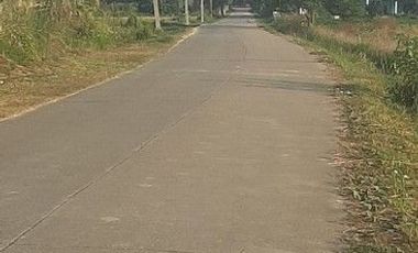 Land for sale at 2 rai, 80 square wah, 6.4million baht, near Rong Khun Temple, Chiang Rai
