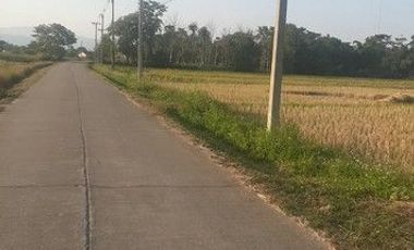 Land for sale at 2 rai, 80 square wah, 6.4million baht, near Rong Khun Temple, Chiang Rai