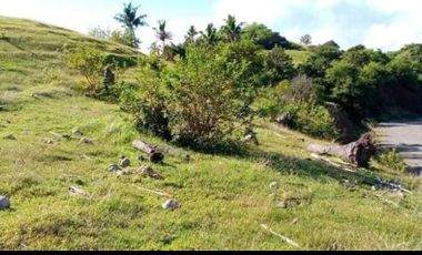 176 hectares Land @ Tugdan Alcantara Romblon
