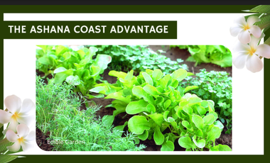 FOR SALE PRE- SELLING 2 STOREY 4 BEDROOM SINGLE DETACHED HOUSE AT  ASHANA COAST, LILOAN