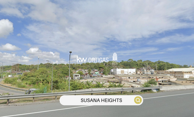 11,393 sqm Industrial Property near Susana Heights SLEX Exit, Muntinlupa for Sale